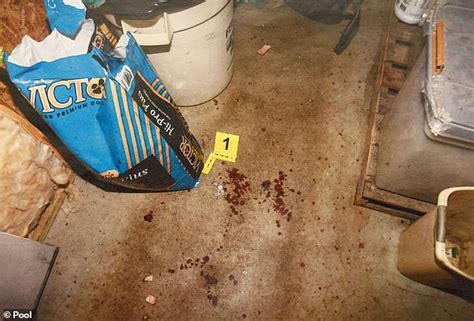 alex murdaugh crime scene photos|Chilling photos reveal bloody crime scene where Maggie and ...